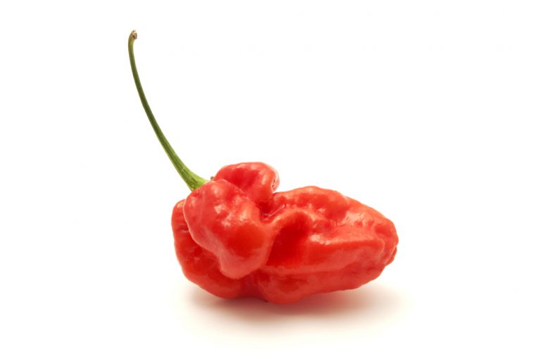 Food pipe Ruptured After Consuming Ghost Pepper...Is Eating Ghost