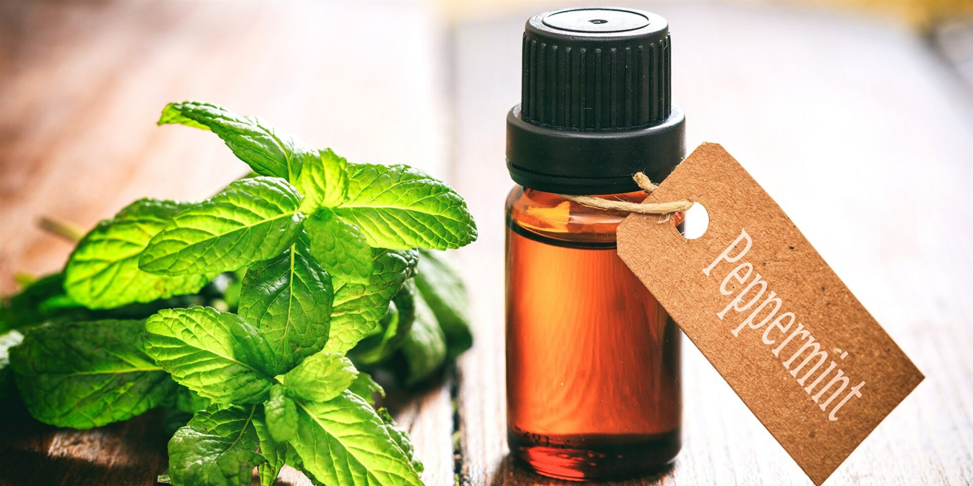 Can Peppermint Oil Be Ingested