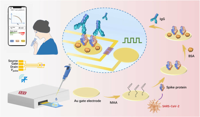 COVID-19 antibodies