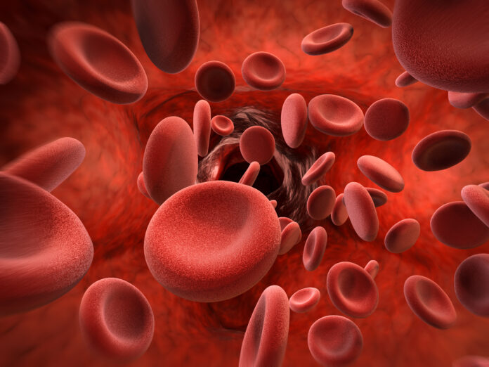 red blood cells