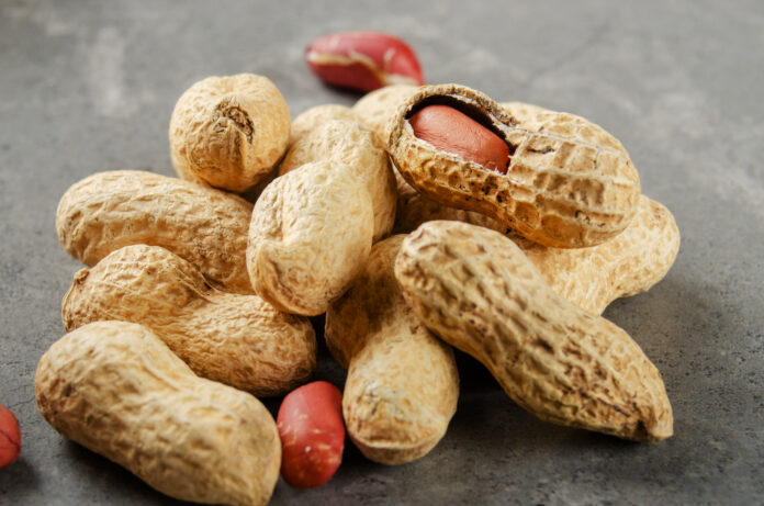 peanut allergy