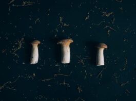magic mushrooms