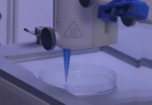 3D Bioprinting To Sprouts Hair Follicle Like Structures 3D Bioprinting