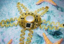 Starfish-inspired wearable tech for heart monitoring heart monitoring