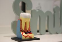 Root Canals Actually Reduce Your Blood Sugar! root canals