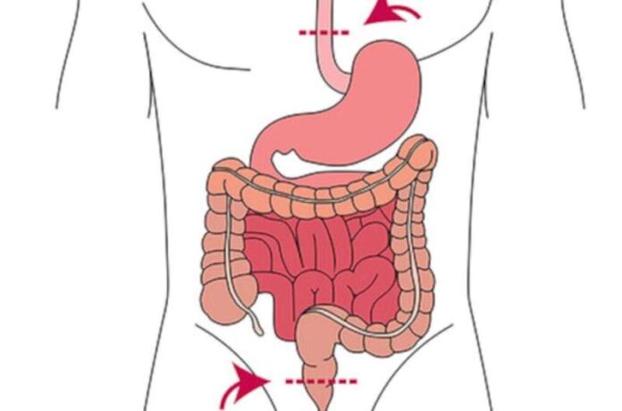 post intestinal surgery