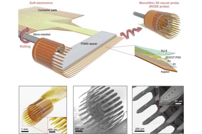 3D brain probe